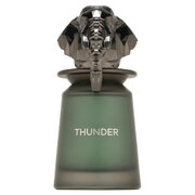 French Avenue Thunder Parfemska voda 100ml