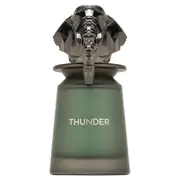 French Avenue Thunder Parfemska voda 100ml