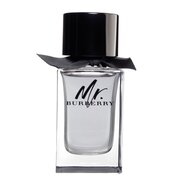 Burberry Mr. Burberry for Men Eau de toilette toaletna voda 