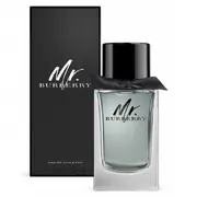 Burberry Mr. Burberry for Men Eau de toilette toaletna voda 150ml