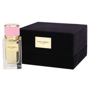 Dolce & Gabbana Velvet Collection parfem 