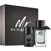 Burberry Mr. Burberry Poklon set, Toaletna voda 100ml + deostick 75ml