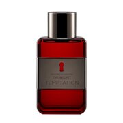 Antonio Banderas The Secret Temptation Toaletna voda 100ml