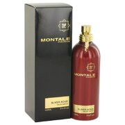 Montale Silver Aoud parfemska voda