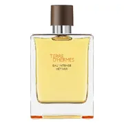 Hermes Terre D'Hermes Eau Intense Vetiver Parfemska voda 200ml