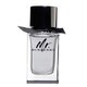Burberry Mr. Burberry for Men Eau de toilette toaletna voda 