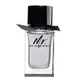 Burberry Mr. Burberry for Men Eau de toilette toaletna voda 