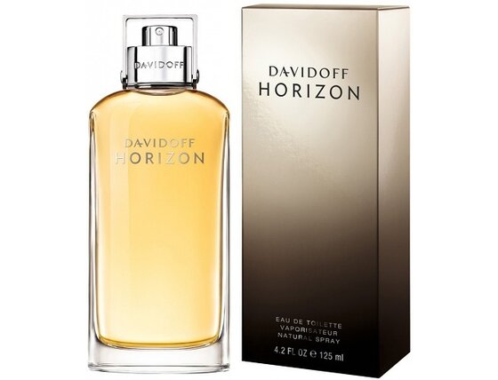 davidoff-horizon-toaletni-voda-s-rozprasovacem_1430674720190307144348.jpg