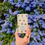 Minijatura: Wild honey & cactus flower bee case deostick, 40 g - 486620586_1149102190348562_6774521135099687929_n
