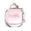 Minijatura: 
