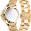 Minijatura: 
