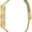 Minijatura: 