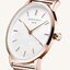 Minijatura: 