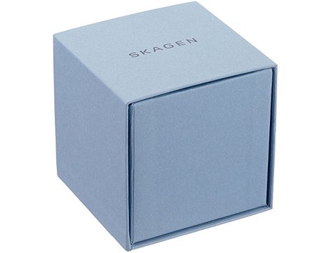 Skagen skw2354 on sale
