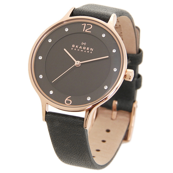 Skagen skw2267 hotsell